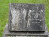 image of grave number 302337